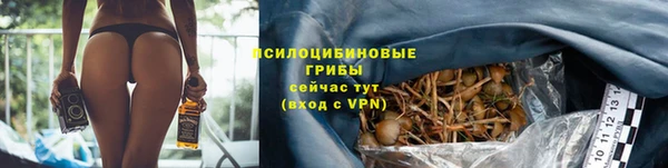 apvp Лабытнанги