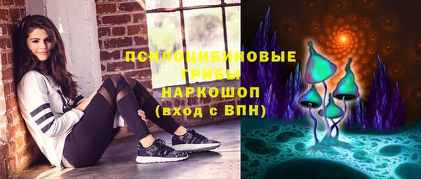 apvp Лабытнанги